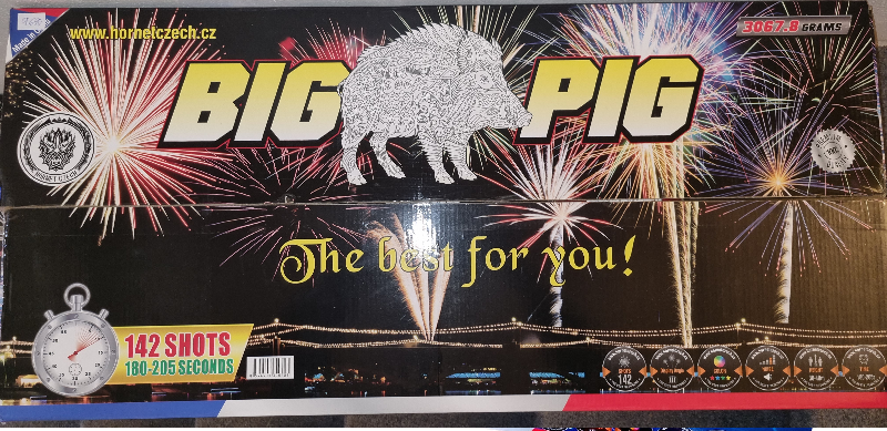 Big Pig 2025